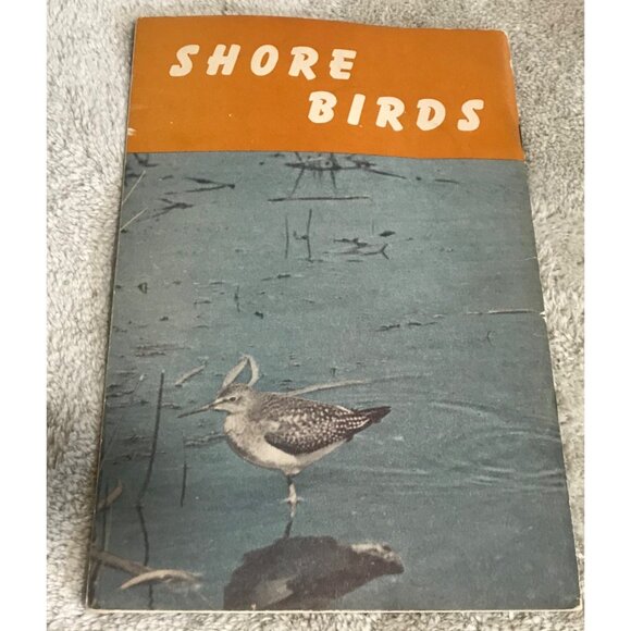 Shore Birds 1950 Book By H.M. Halliday F.G. Bard & W.H. Carrick  School Aids Tex - Picture 2 of 4